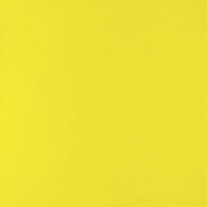 Meet your Posher, Tori